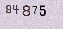 Visual Confirmation Security Code